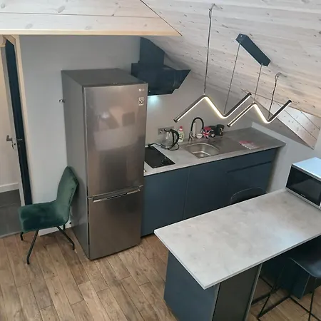 Loft Style In The Old Town Kaunas